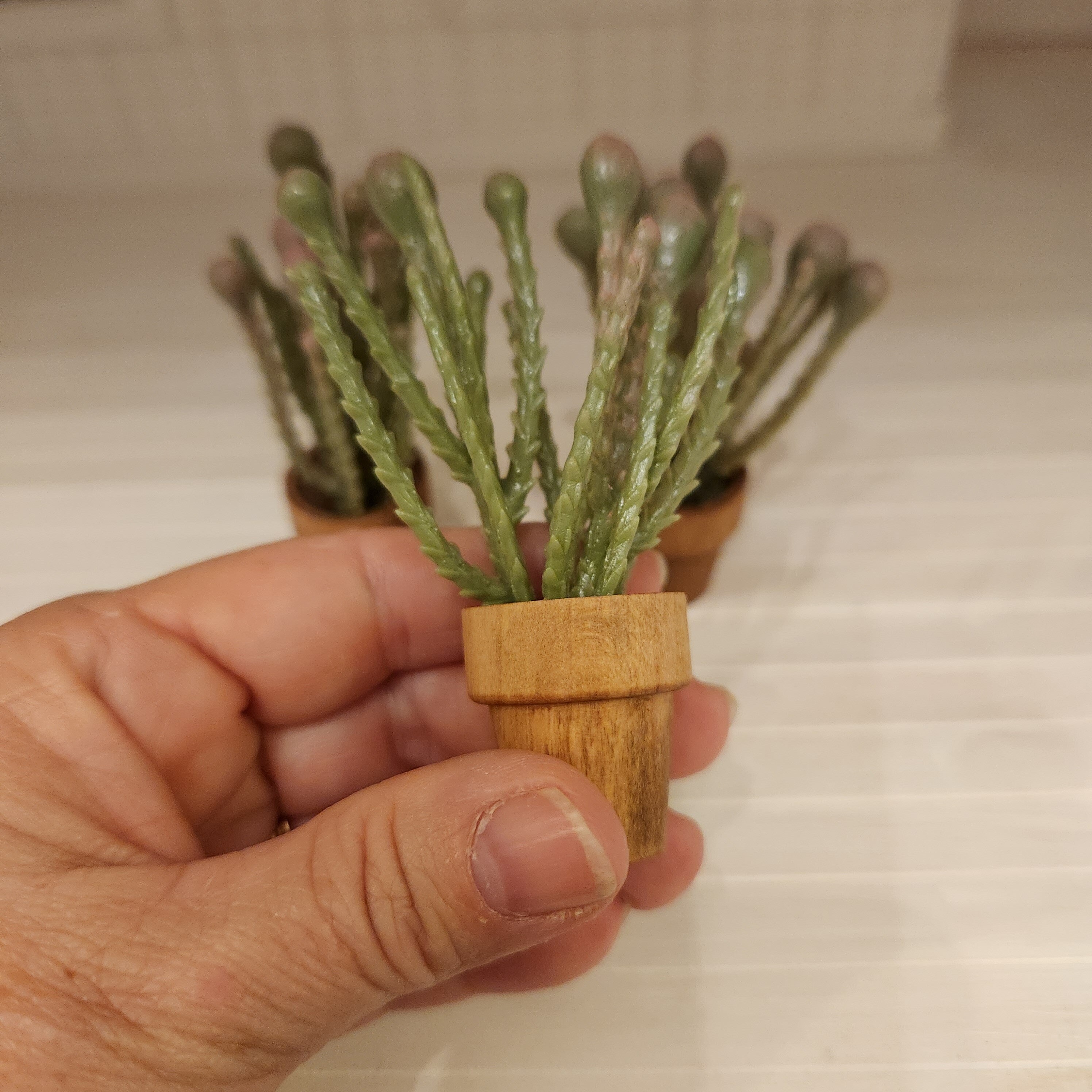 Dollhouse Miniature Succulent, Wood Pot, 1:12 Scale
