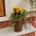 1:12 Scale Miniature Tall Hanging Basket – Yellow Spring Flowers & Trailing Greenery