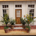 1:12 Scale Miniature Potted Fruit Tree – Lemon or Orange Topiary