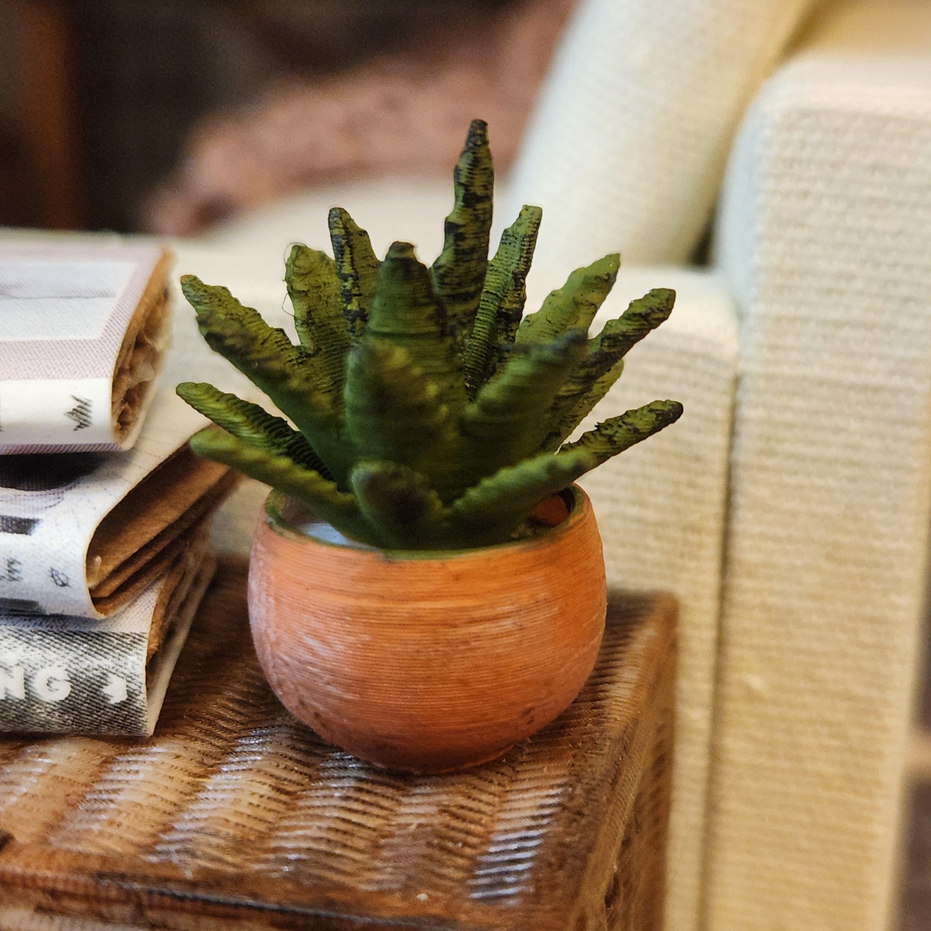 1:12 Scale Miniature Potted Succulent – Terra Cotta Farmhouse Greenery