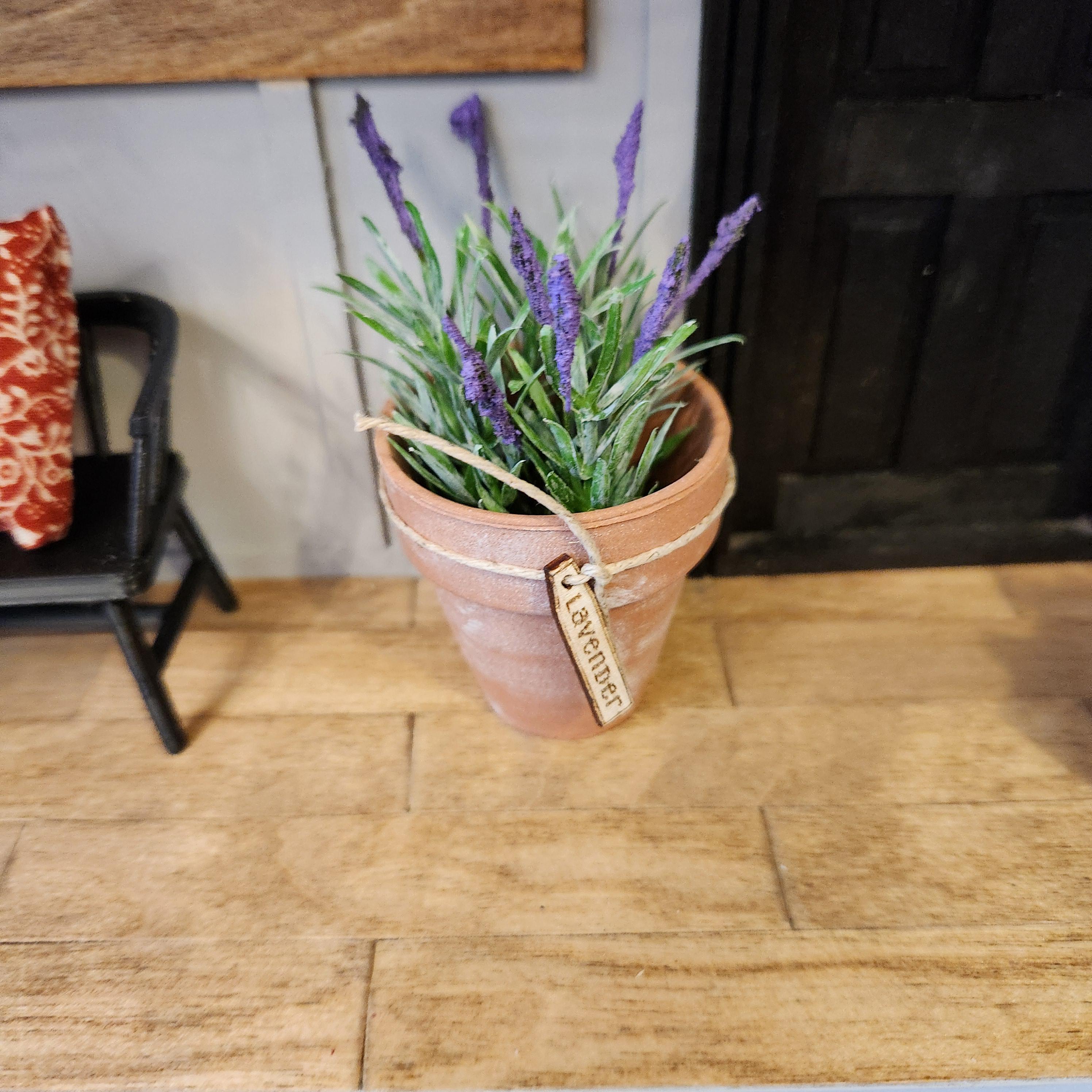 1:12 Scale Miniature Lavender in Aged Terracotta Pot – Botanical Decor