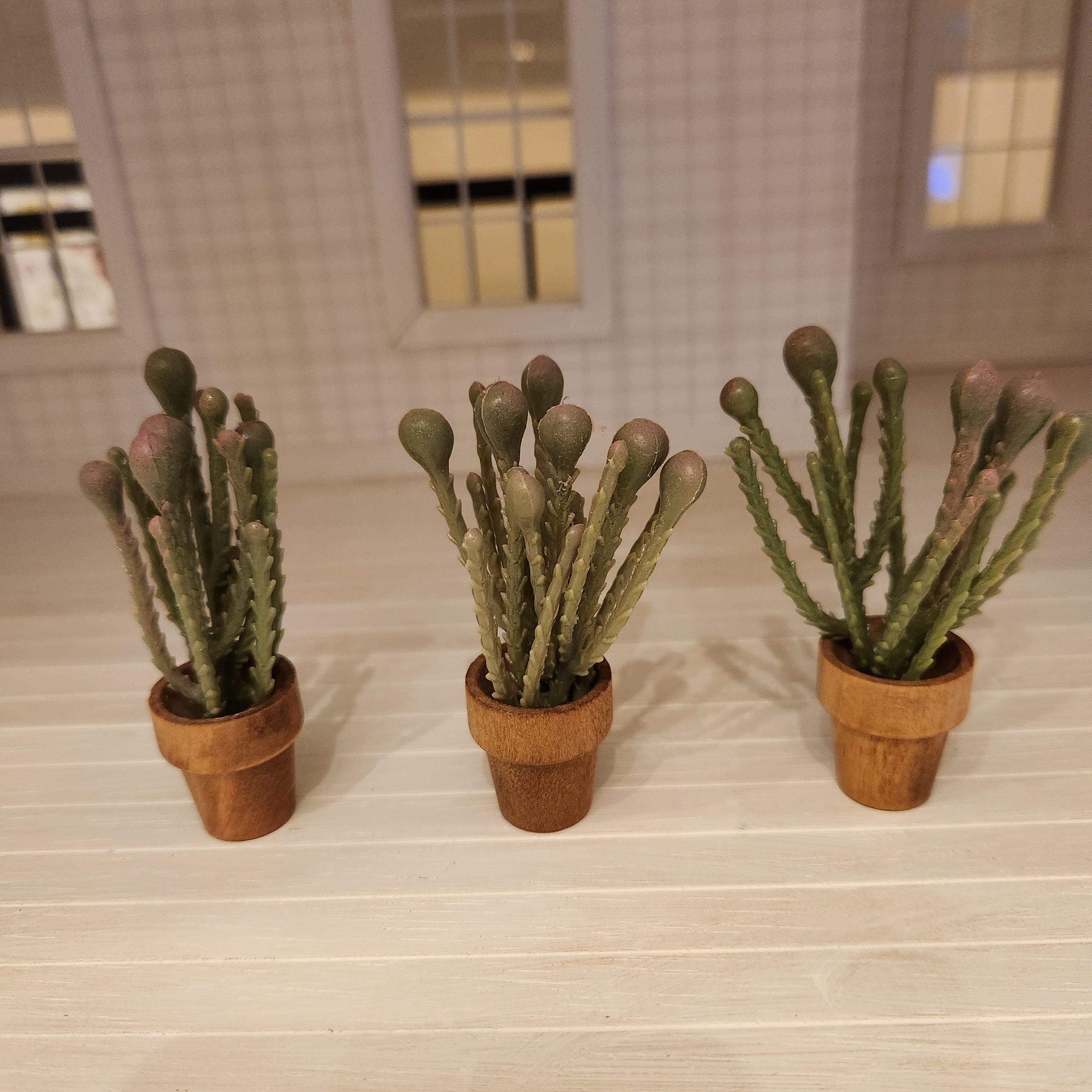 Dollhouse Miniature Succulent, Wood Pot, 1:12 Scale