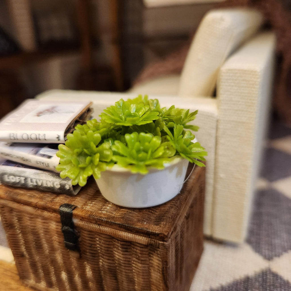 1:12 Scale Miniature Modern Succulent – Crisp White Potted Greenery