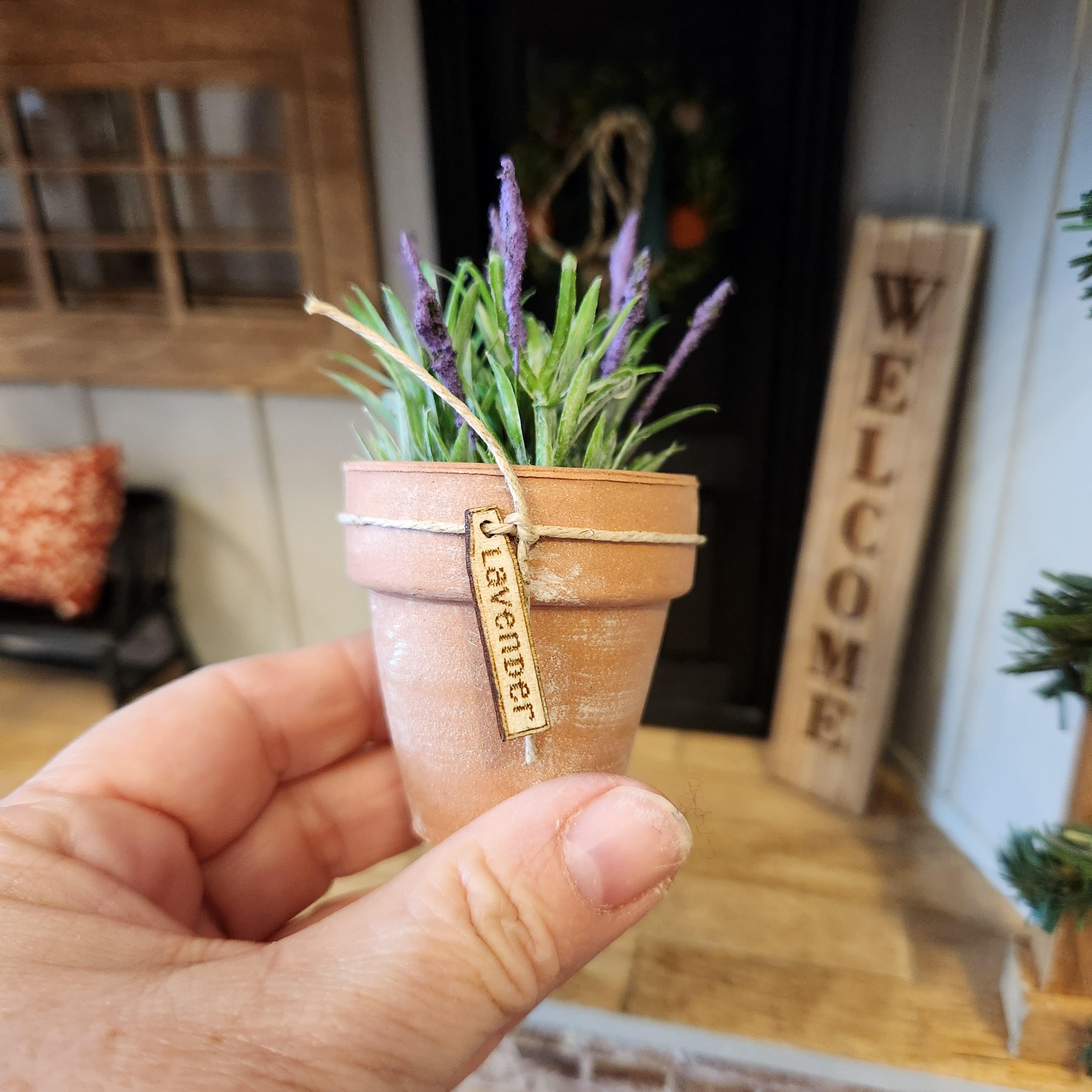1:12 Scale Miniature Lavender in Aged Terracotta Pot – Botanical Decor
