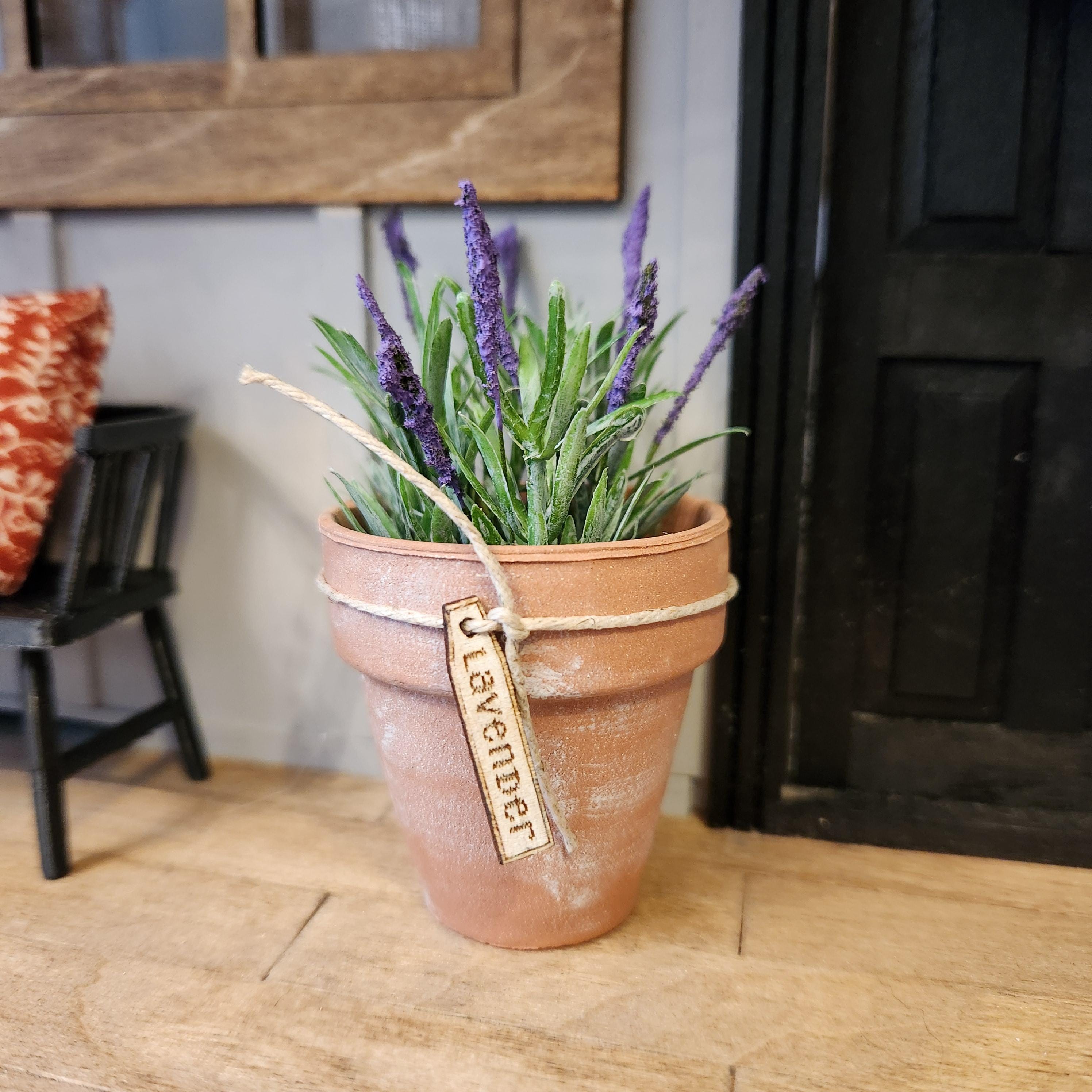 1:12 Scale Miniature Lavender in Aged Terracotta Pot – Botanical Decor