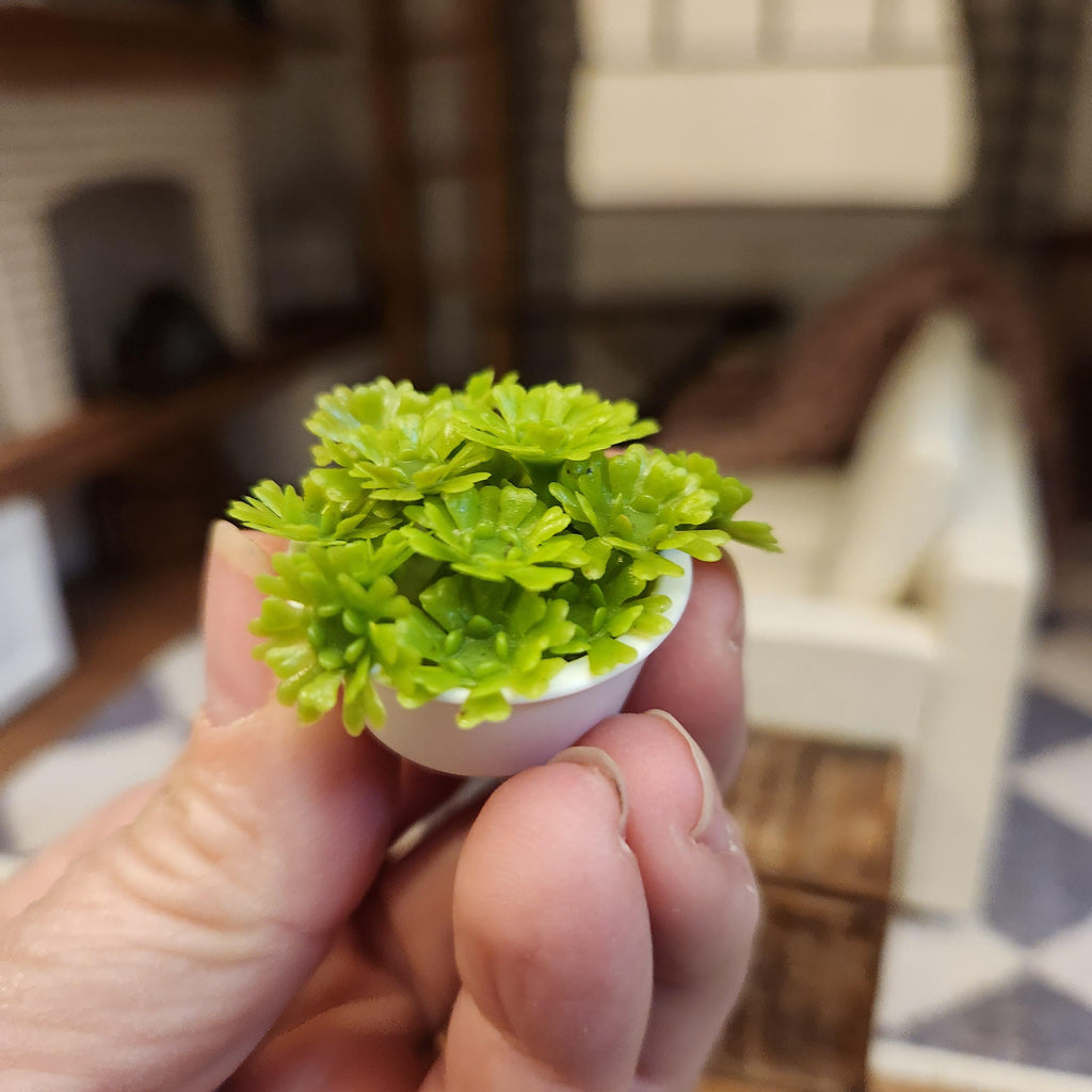 1:12 Scale Miniature Modern Succulent – Crisp White Potted Greenery