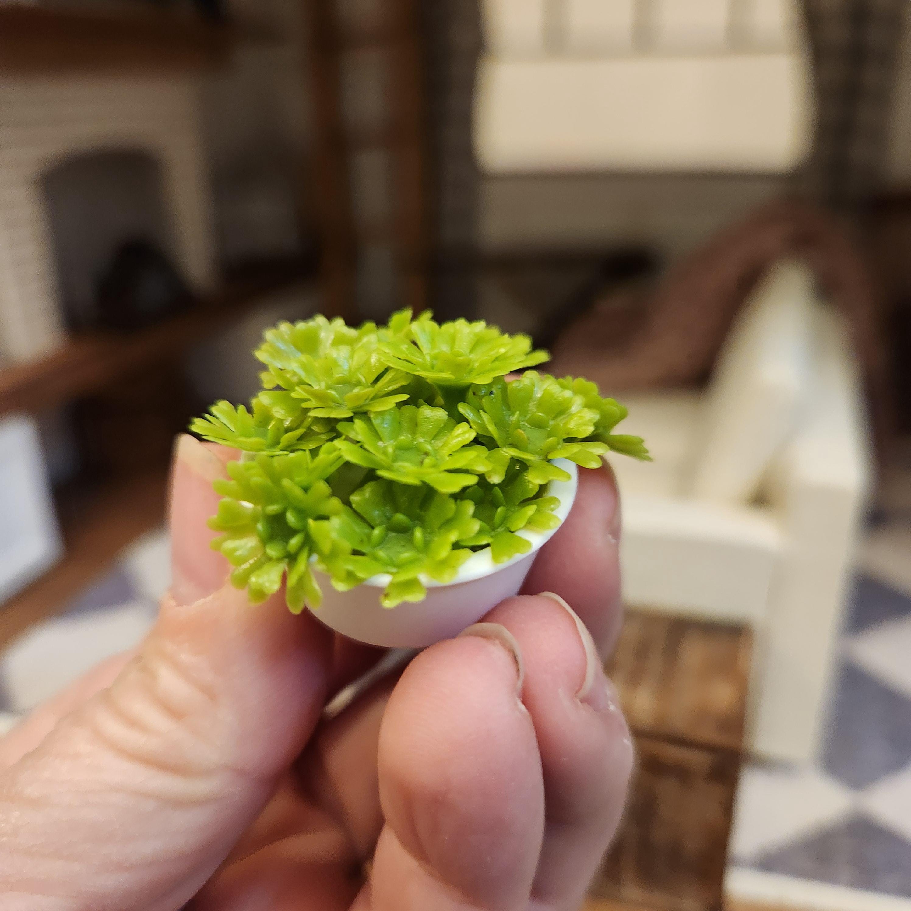 1:12 Scale Miniature Modern Succulent – Crisp White Potted Greenery