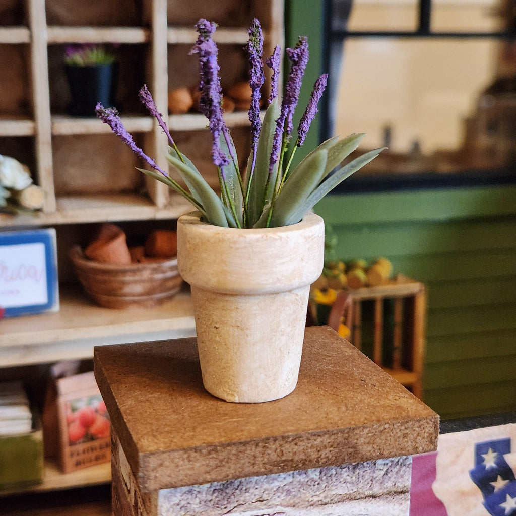 1:12 Scale Small Miniature Lavender in Aged Terracotta Pot – Botanical Decor