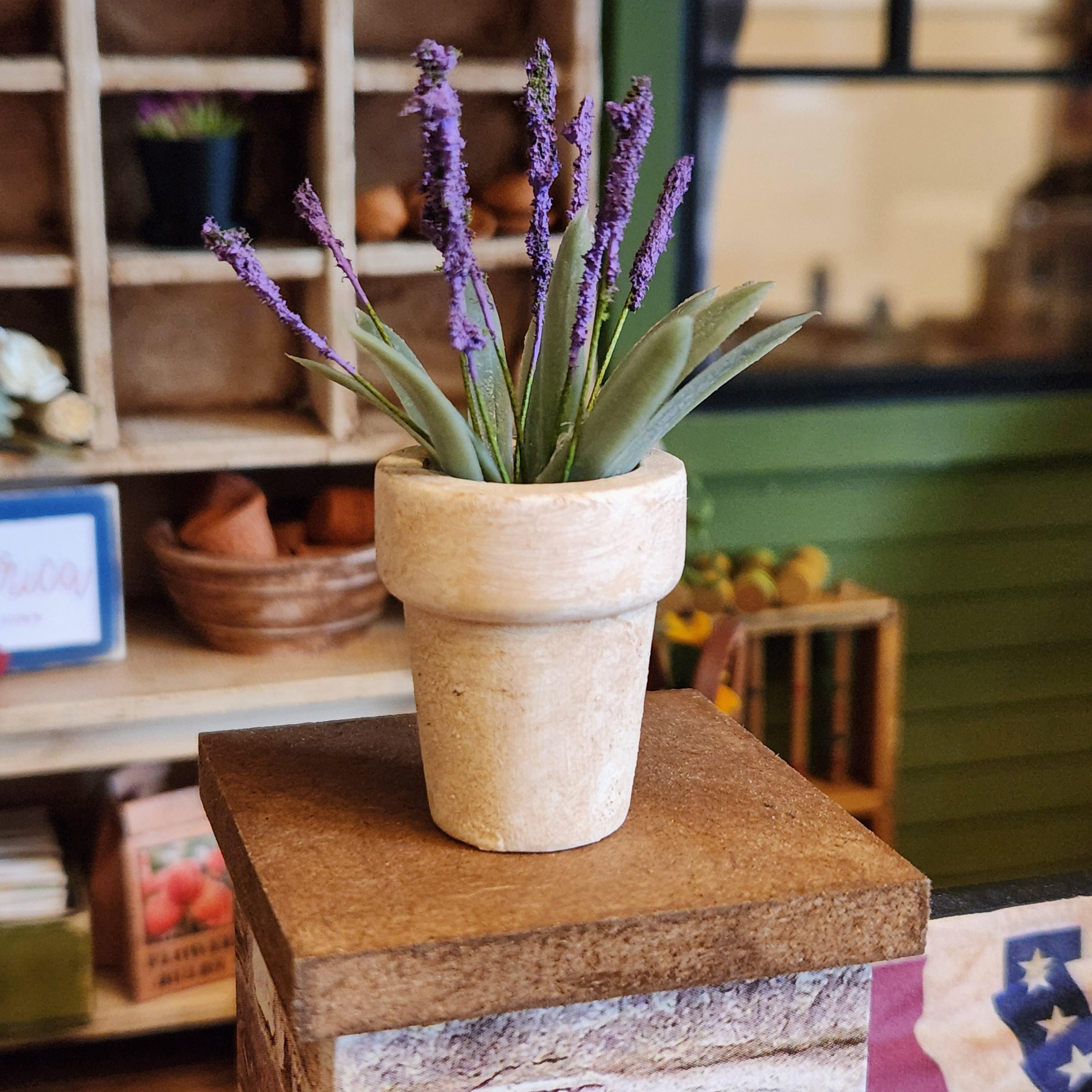 1:12 Scale Small Miniature Lavender in Aged Terracotta Pot – Botanical Decor