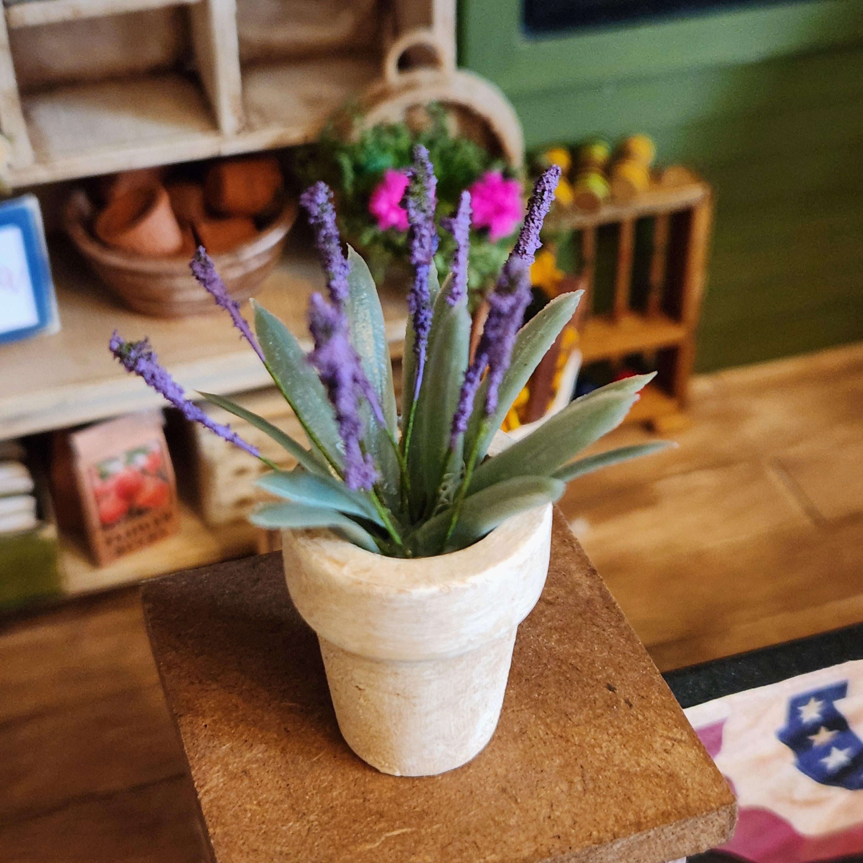 1:12 Scale Small Miniature Lavender in Aged Terracotta Pot – Botanical Decor