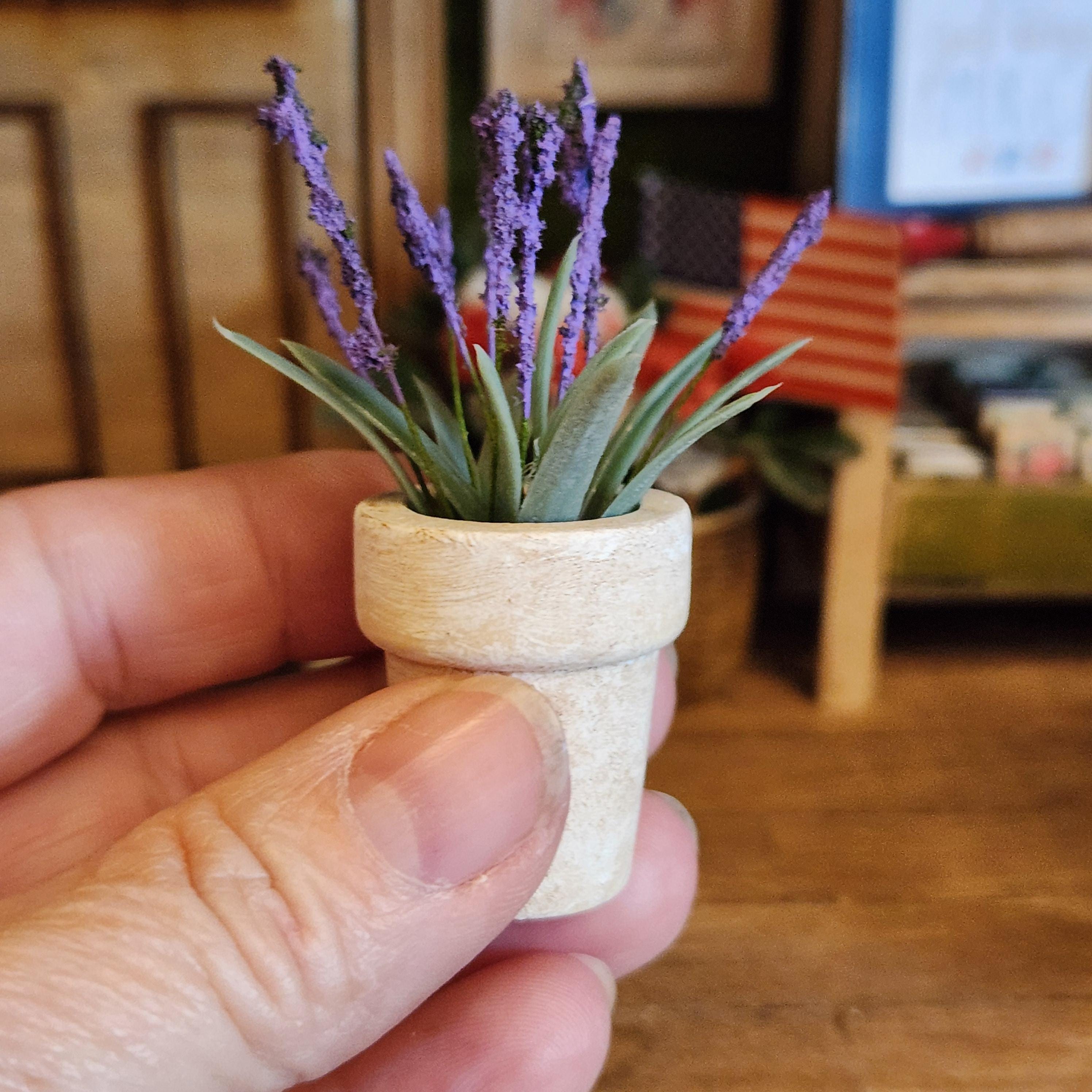 1:12 Scale Small Miniature Lavender in Aged Terracotta Pot – Botanical Decor